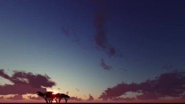 Siluet, bir ağaç alacakaranlıkta manzara