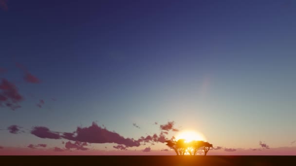 Silhueta, uma paisagem de crepúsculo de árvore — Vídeo de Stock