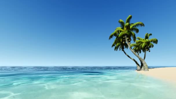 Île tropicale avec palmiers en mer turque . — Video