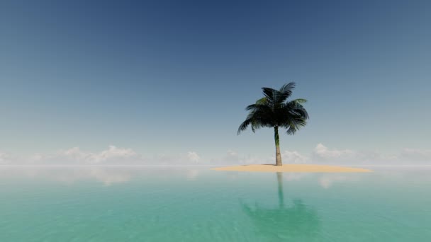 Ενιαία palm tree ενάντια στον ωκεανό και το blue sky — Αρχείο Βίντεο