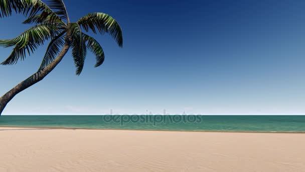 Playa de arena con palmera y cielo azul — Vídeo de stock