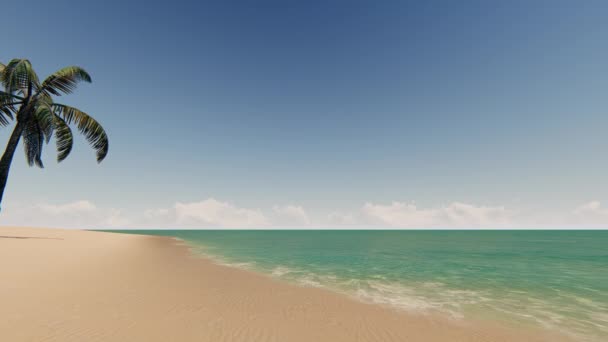 Praia de areia com palmeira e céu azul — Vídeo de Stock