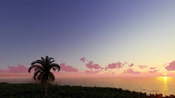 Nice sunset 3D render — Stok Foto