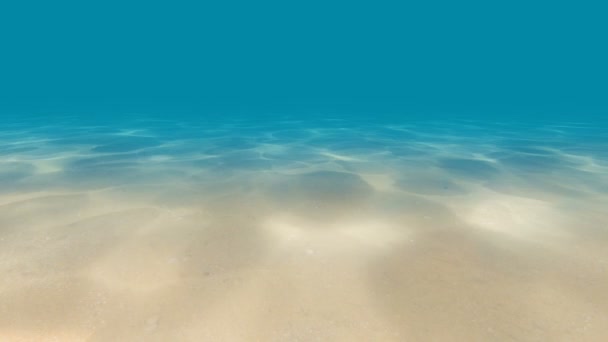 水中の海底にコースティクス — ストック動画