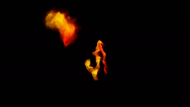 Colored smoke in the form of March 8 on a black — Stock Video