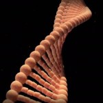 De Dna-molecule kundig voor lus