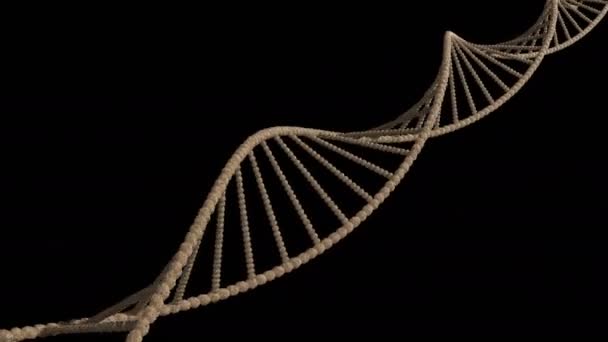Анимированная цепочка ДНК, способная лопаться — стоковое видео