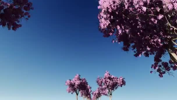 Movimiento a través del callejón de un árbol — Vídeo de stock