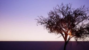 Ağaçların dallarında parlayan güneş ışınları gerçekçi 3 boyutlu görüntüler.