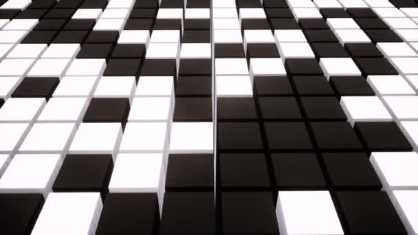 Black and white boxes animation. Stylish pattern for decorative design. Grey white texture. Cool abstract background tile. — ストック動画