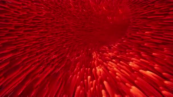 Capillaire darm voor medisch ontwerp. Intestine voering. Gut lumen. Weelderige Lava — Stockvideo