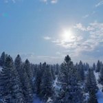 Abstract poster on blue backdrop. Panoramic view. Mountain forest landscape. Abstract nature background. Adventure travel. Blue abstract background. Retro background. Forest camping.