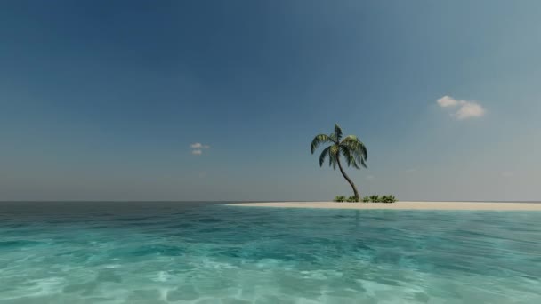 Tropické ostrovní palmy. Romantický květinový design. Listy kokosových stromů. Paradise Forest. Poušť, písek. Tropický ostrov. Písečný oceán. Vzor palem. — Stock video