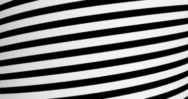 Korkak zebra. Hayvan tasarımı. Zebra derisi arkaplanı Kusursuz döngü yapabilir