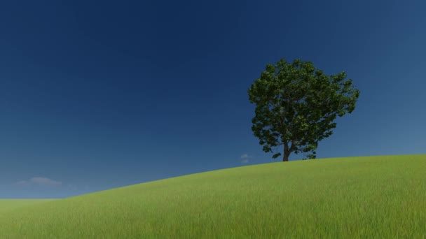 3D yeşil resim. 3 boyutlu görüntüleme. Yeşil tepede bir ağaç ve berrak gökyüzü. — Stok video