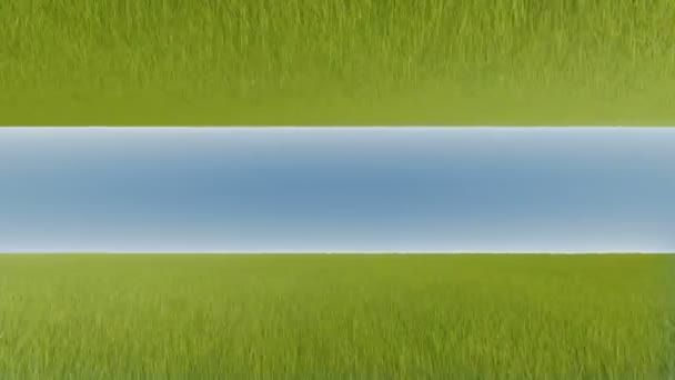 Green backdrop. Rural landscape. Green grass lawn. Rural scene. Farmland scene. Green forest, countryside landscape. Farm field landscape background. Sky blue. — Stock Video