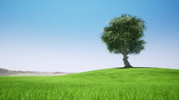 Albero singolo in stile retrò. Safari al tramonto. Estate Vintage isolato primavera arte. Arte astratta. Design retrò. Progettazione del paesaggio. Natura del modello. Foglia verde natura ecologia. Design vintage . — Video Stock