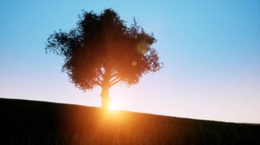 Banner on green backdrop. Tree, oak, leaf. Nature landscape. Rural landscape. Beautiful landscape, grass. Green farm.