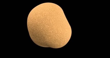 Bölüm kanser hücresi. Sağlıklı hücre bölünmesi. DNA. - Kanser. Mikrobiyoloji 3D arkaplan.