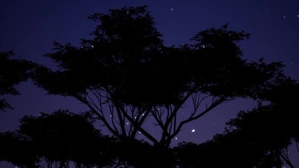 Ilustração com silhueta de árvore azul contra estrelas em fundo escuro. Paisagem espacial. Fundo de viagem. Paisagem urbana. Belo universo. Céu noturno . — Vídeo de Stock