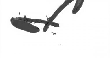 İki damla siyah ham petrol çarpışır ve bir sprey oluşturur..