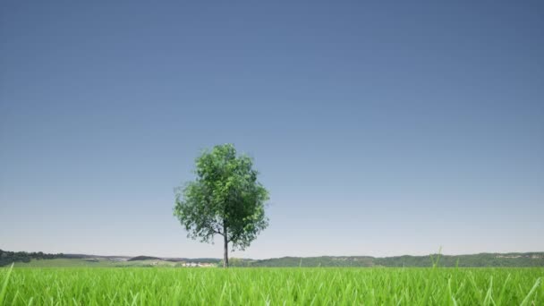 Arbre de croissance sur fond vert. Eco vert forêt naturelle modèle de fond. Développement des entreprises . — Video