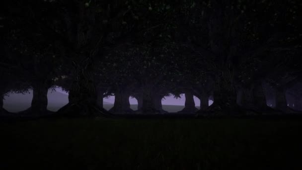 Kísérteties erdő sötét háttérrel. Parkolj kint. Ködös fák. Mágikus erdő háttér. Fantázia táj. Sötét rejtély. — Stock videók