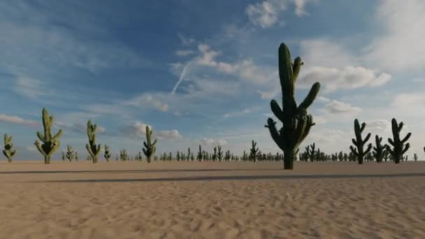 Fondo de flores de cactus. Puesta de sol del desierto. Dibujo del paisaje del desierto. Desierto, arena. Patrón floral gráfico. Paisaje americano . — Vídeos de Stock