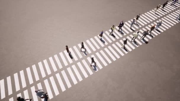 Människor på zebra Stadslandskap Motorväg väg. — Stockvideo