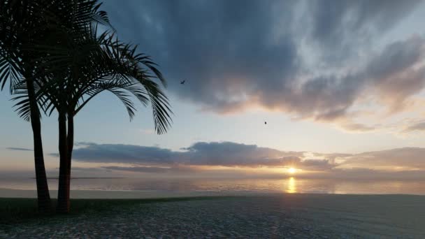 Tropisch zonsondergang landschap. Zomer hemel. Dramatische lucht. — Stockvideo