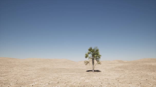 美丽的抽象与成长的棕榈树为概念设计. — 图库视频影像