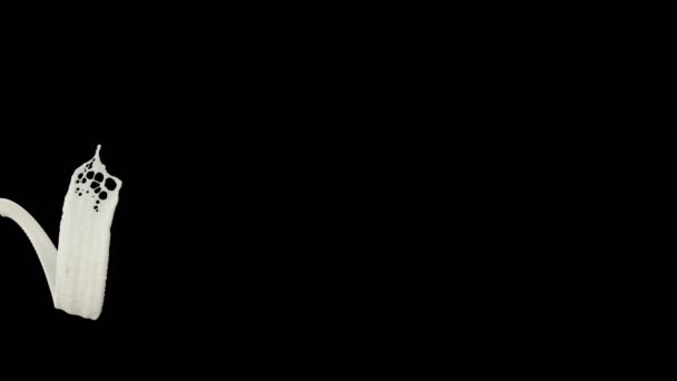 Spirale Lait jet éclaboussure sur noir 