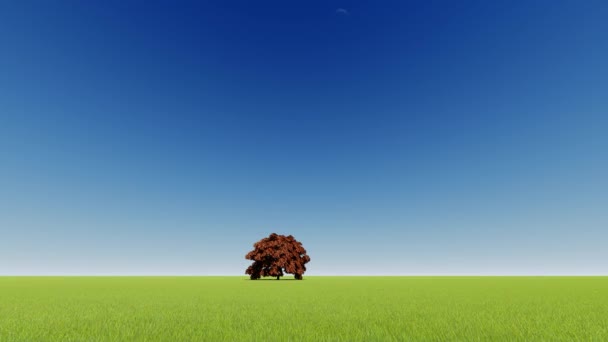 Verde albero singolo Natura sfondo . — Video Stock