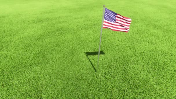 Dag van Herinnering.. vlag usa gazon gras — Stockvideo