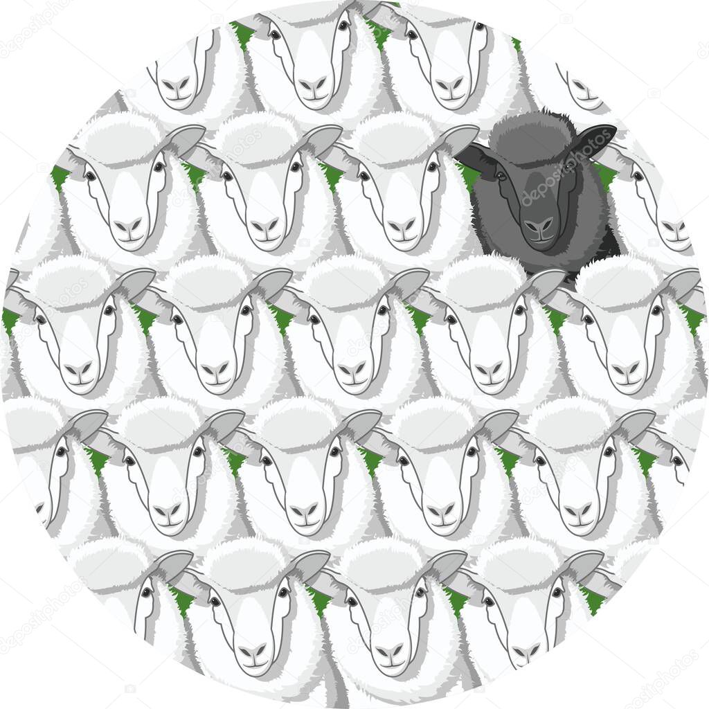 Black sheep among a herd of white sheep. One lamb stands out from the rest. Vector animals