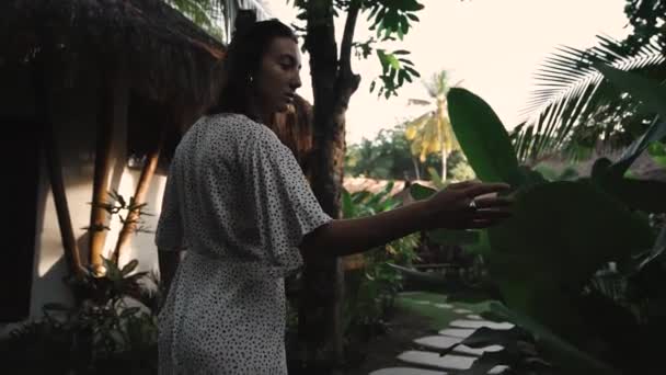 Mulher Bonita Fique Perto Natureza Desfrute Beleza Natureza Selva Tropical — Vídeo de Stock