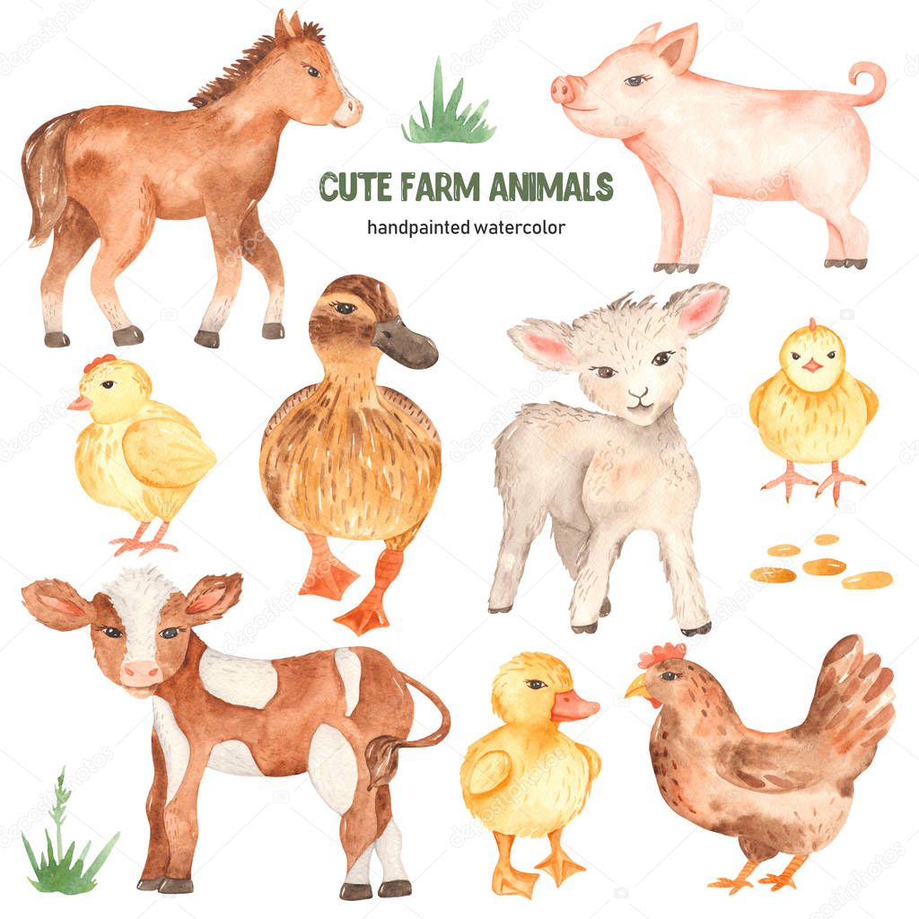 Cute farm animals horse, pig, lamb, calf, duck, duckling, watercolor chick