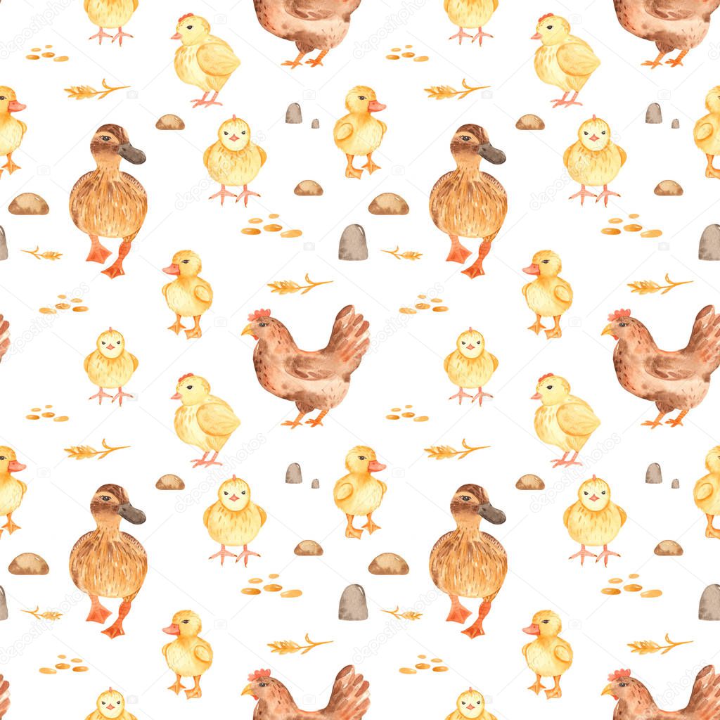 Watercolor seamless pattern with cute cartoon farm poultry on a white background