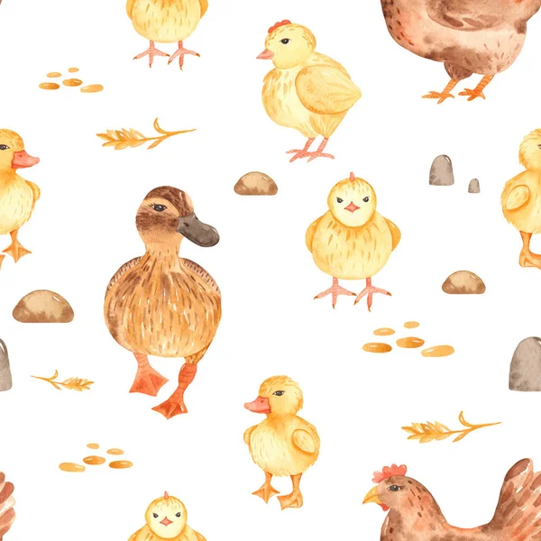 Padrão sem costura aquarela com aves de capoeira bonito fazenda dos desenhos animados — Fotografia de Stock