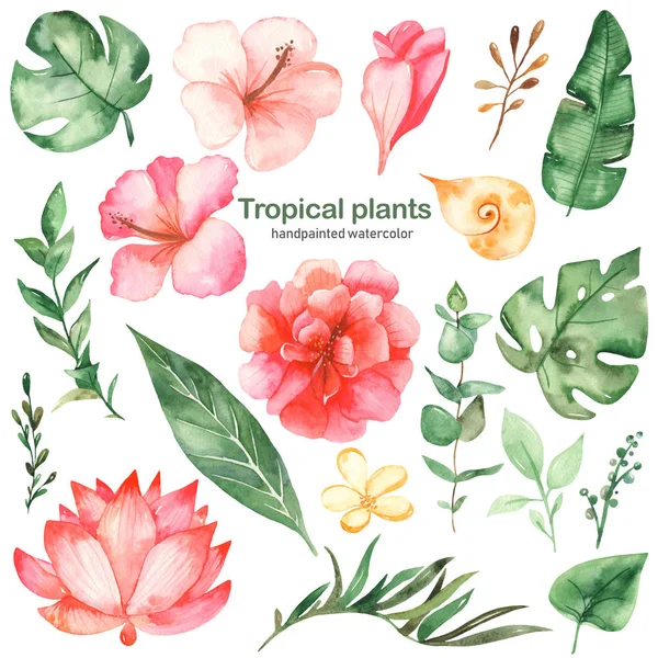 Aquarel grote set met tropische bladeren en bloemen — Stockfoto