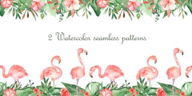 Flamingo ve tropikal bitkilerle suluboya kusursuz sınırlar
