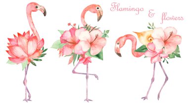 Suluboya pembe flamingolar ve bir buket çiçek.