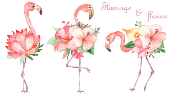 분홍빛 플라밍고와 꽃다발로 이루어진 꽃다발 — 스톡 사진