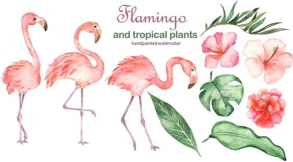 Aquarelset met flamingo 's en tropische planten — Stockfoto