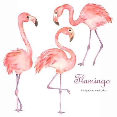 Watercolor set with pink cute flamingos clipart