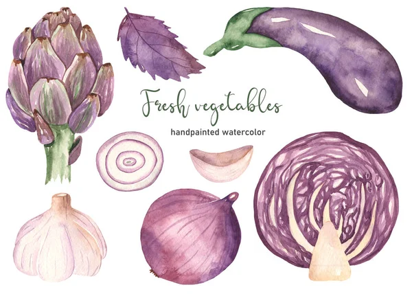 Акварель з фіолетовими овочами — стокове фото