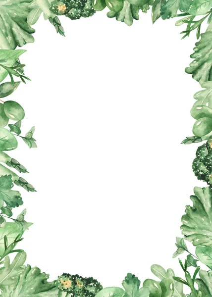 Moldura retangular aquarela com ervas frescas — Fotografia de Stock