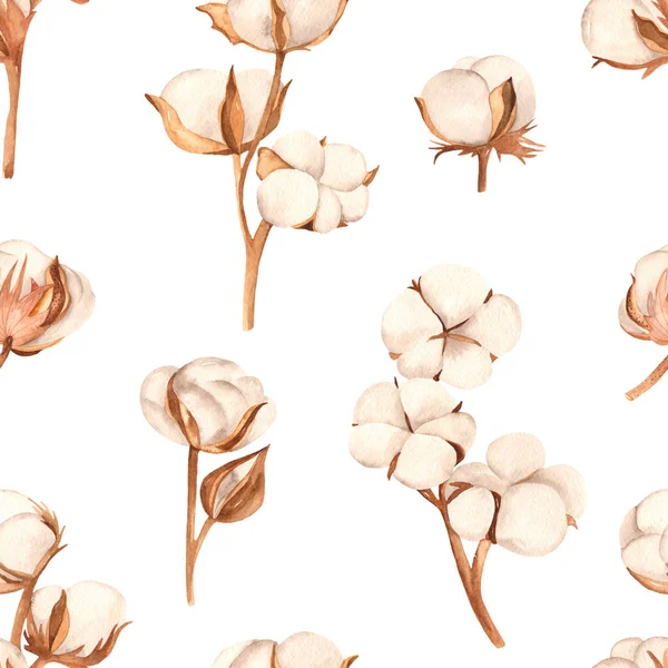 Aquarel naadloos patroon met takken, knoppen en katoenen bloemen — Stockfoto