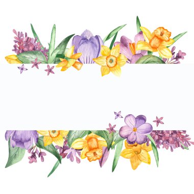 Çiçekler ve çiçek yaprakları, leylak ve nergis. Suluboya pankartı