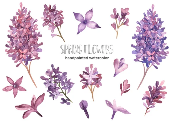 Flores Primavera Violeta Lilás Clipart Aquarela Para Projeto Casamento — Fotografia de Stock